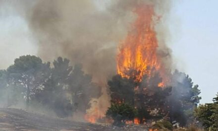 Incendi: la Cgil si scaglia contro la Regione siciliana
