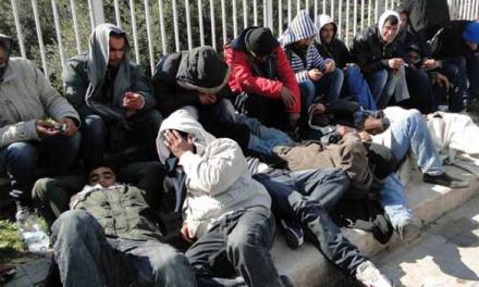 Lampedusa, hotspot al collasso: trasferiti 1.828 migranti