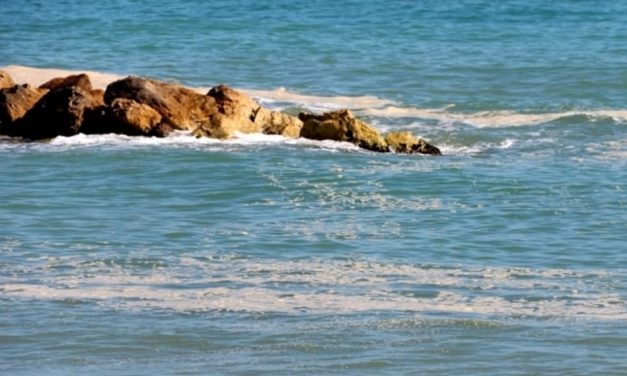 Goletta Verde analizza il mare siciliano: inquinato in sei punti su dieci