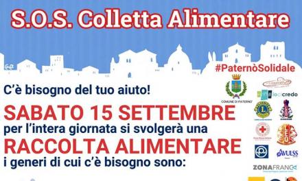 GRANDE RACCOLTA ALIMENTARE PER MENSA SOCIALE E RANDAGI