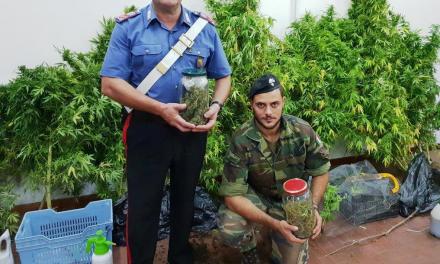 Scoperta piantagione di “erba” a Biancavilla