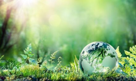 Sviluppo sostenibile, al South Innovation la visione dell’aggregatore catanese EHT