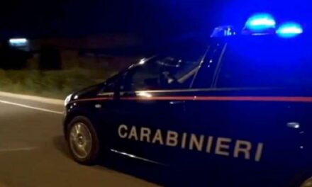 Catania, sventato furto nella notte in un deposito di mezzi pesanti: ladri in fuga