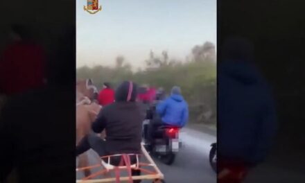 CAMPOROTONDO ETNEO: INDIVIDUATI FANTINI E SCUDERIE DELLE GARE CLANDESTINE, SEQUESTRI E SANZIONI