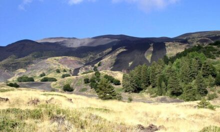 PARCO DELL’ETNA: ELIMINATA DISCARICA ABUSIVA DA 70 INGEGNERI