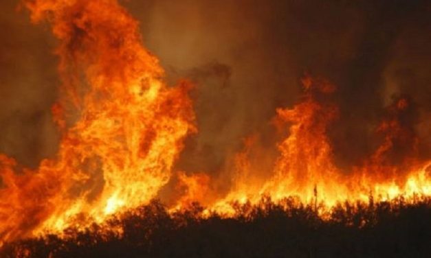 Palermo continua a bruciare: incendi sulle colline e a Bellolampo