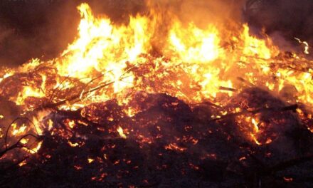 Incendi a Catania e provincia: in fiamme macchia mediterranea e fuoco vicino ad abitazioni