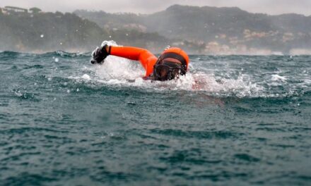 CANE FA UN VOLO DA UNA SCOGLIERA DI 15 METRI E FINISCE IN MARE: SALVATO