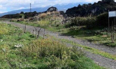BRONTE, ZONA DI BRIGNOLO: DA ANTICA DISCARICA A POLMONE VERDE