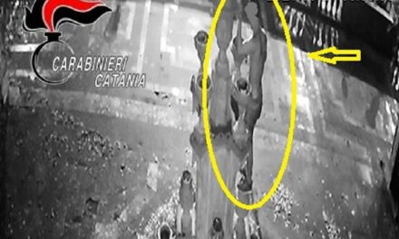 CALTAGIRONE: UBRIACO DANNEGGIA VASI E FONTANA DELLA VILLA COMUNALE, DENUNCIATO 18ENNE