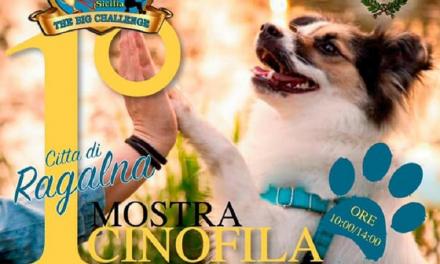 RAGALNA: DOMENICA 14 PRIMA MOSTRA CINOFILA, SFILATE E TANTI CUCCIOLI