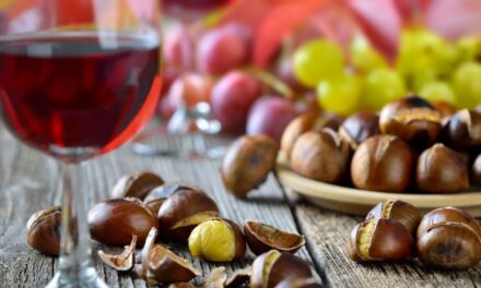 SAN MARTINO: TRA LEGGENDA E TRADIZIONI, VINO NUOVO E CASTAGNE