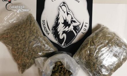 Catania, arrestato 21enne con droga in casa