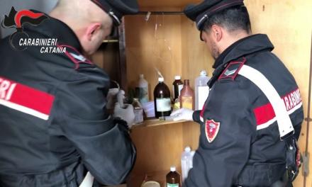 Paternò, corse clandestine di cavalli e armi: denunciato un uomo