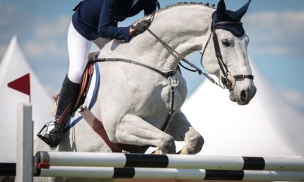 Torna la Fiera Mediterranea del Cavallo: appuntamenti nel Catanese e a Palermo