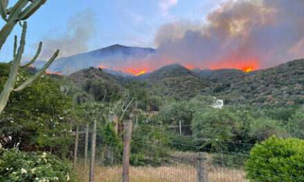 Incendio a Stromboli, danni ingenti: il sindaco chiederà stato di calamità naturale