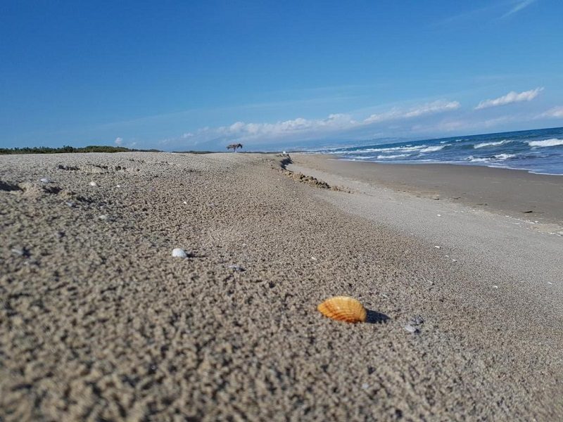 Augusta, scoperta in spiaggia: trovati ordigni bellici
