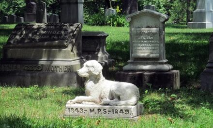 Sicilia, cimiteri per animali d’affezione: 2 milioni ai comuni