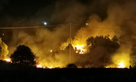 Paternò, vasto incendio nell’area di via Mongibello