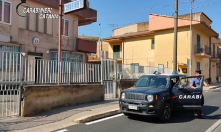 Tenta di rubare 600 chili di uva: beccato 30enne catanese