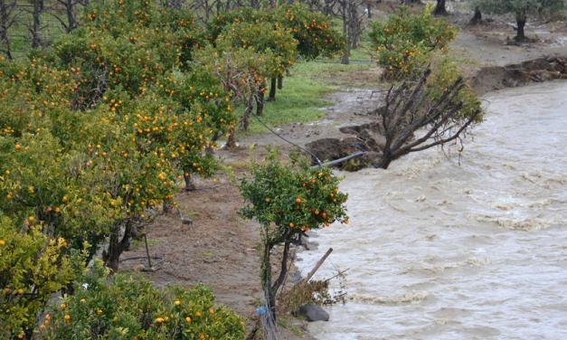 “Contratto di fiume e diga di Bolo per salvare il Simeto”