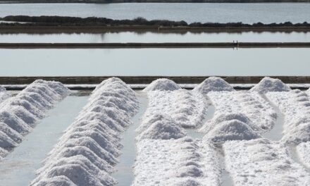 Saline di Trapani: inizia la raccolta del sale sotto la luna
