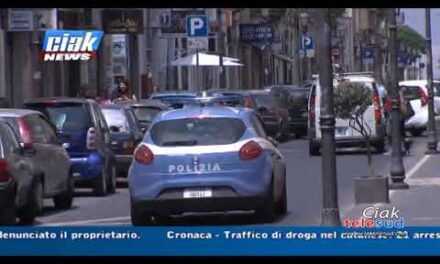Ciak News 08-02-23