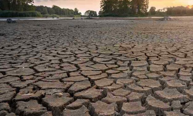 Emergenza siccità, Cia: “Serve piano di emergenza”