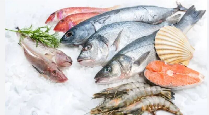 Catania, prodotti ittici non tracciati e senza etichettatura: sequestrati oltre 500 chili