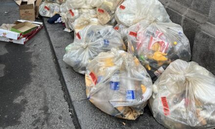 Emergenza rifiuti a Catania, il sindaco lancia un appello sui social alla comunità