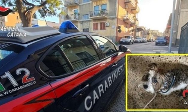 Catania, in stato confusionale apre la bombola del gas e sale nudo sul tetto: salvato cane e suo padrone