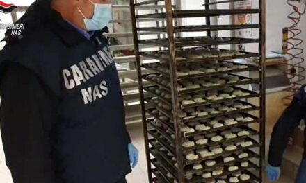 Controlli di Natale: sequestrate 39 tonnellate di dolci tipici, nel Catanese trovati pistacchi invasi dai parassiti