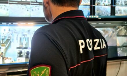 Ruba occhiali da sole all’aeroporto di Catania e poi viene fermato a Milano: denunciato 35enne