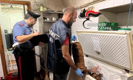 Catania, sporcizia, cibo mal conservato e blatte: chiuso kebabbaro