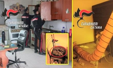 Allestita una sera per coltivare marijuana a “costo zero”: denunciato 31enne