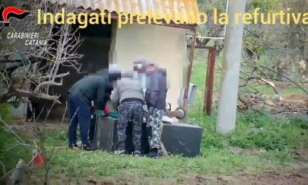 Furto con spaccata in una gioielleria e cassaforte nascosta in terreno agricolo: 7 arresti