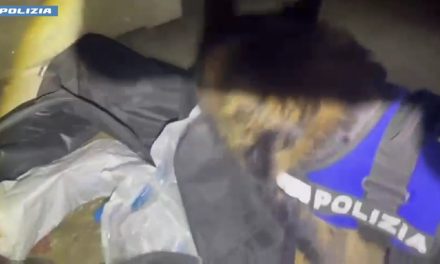 Utilizzava il garage dello zio della fidanzata come deposito della droga: arrestato 27enne