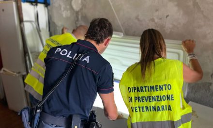 Aci Trezza, controllati panificio e ristorante: diverse irregolarità e sanzioni