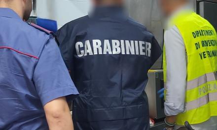 Controlli per strada e nei locali: guida in stato di ebbrezza e distrutti 13 chili di carne non tracciata