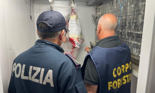 Paternò, carenze igienico-sanitarie e carne non tracciata in una macelleria: sanzionato titolare