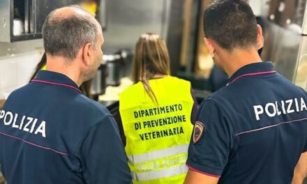 Catania, controlli alle attività: sequestrati oltre mille chili di prodotti non tracciati e sanzioni