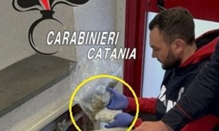 Beccata mentre tenta di disfarsi della droga in bagno: arrestata 54enne