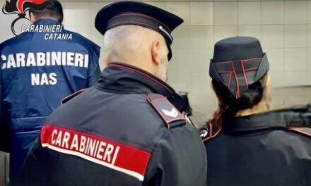 Controllati 2 panifici, carenze igieniche e irregolarità