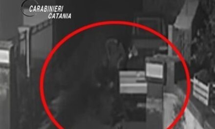 “Devi darmi i soldi!”, gli salta addosso e gli prende contanti e carta: 2 denunce