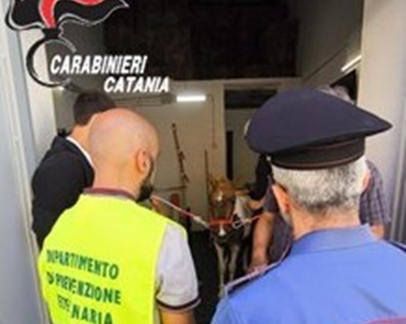 Catania, cavallo senza microchip in una stalla irregolare
