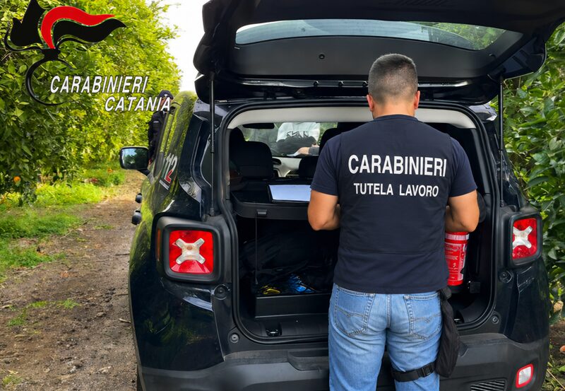 Controlli contro il caporalato, scoperto lavoratore in nero in un’azienda agricola: denunciato titolare