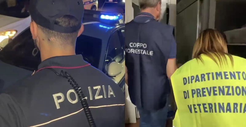 Controllati 2 locali a Catania, prodotti non tracciati e lavoratori in nero: sanzioni