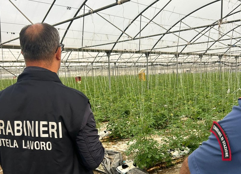 Sfruttavano lavoratori irregolari nella raccolta delle arance, facendoli vivere senza acqua e luce: 4 misure cautelari