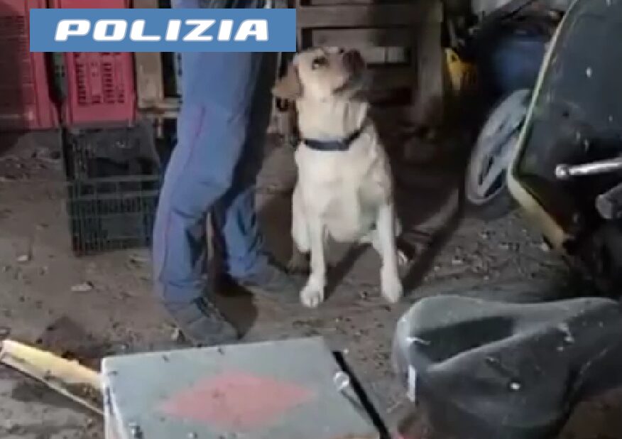 Paternò, casa trasformata in base logistica per lo spaccio: arrestato 21enne