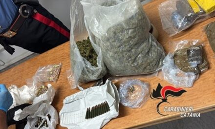 Trovati un casolare oltre 4 chili di droga e munizioni di diverso tipo: sequestro
